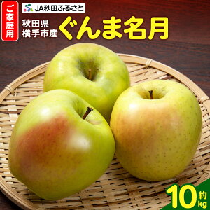 【ふるさと納税】【11月中旬より発送】りんご ぐんま名月 家庭用 約10kg(32〜40玉)