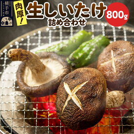 【ふるさと納税】生しいたけ詰め合わせ 800g 秋田新鮮組