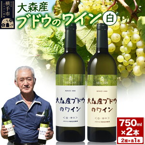 yӂ邳Ɣ[ŁzXYC̊Ðh݂ 750ml×e1{ v2{