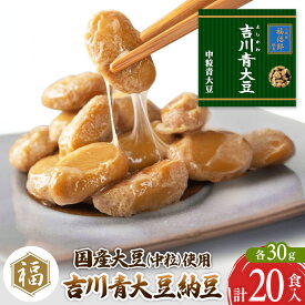 【ふるさと納税】二代目福治郎納豆　吉川青大豆納豆【中粒】10袋（1袋×2食入）計20食