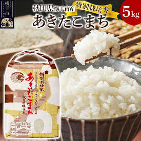 【ふるさと納税】【白米】特別栽培米あきたこまち 5kg [秋田県産 あきたこまち 特別栽培米 5キロ]