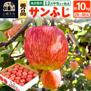 yӂ邳Ɣ[Łzystz12{蔭 Tӂ yGiz10kg i28`46ʁj ь