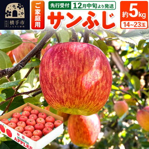 yӂ邳Ɣ[Łzystz12{蔭 Tӂ yƒpz5kgi14`23ʁj ь