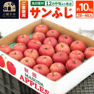 yӂ邳Ɣ[Łzystz12{蔭 yƒzTӂ 10kg (28`46)  ь
