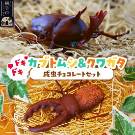 【ふるさと納税】カブトムシの成虫チョコレート＆クワガタチョコレート 小松屋本店 プレゼント インスタ映え お菓子 スイーツ チョコ チョコレート ギフト
