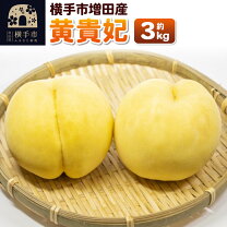 楽天市場】黄貴妃の通販