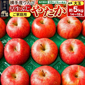 yӂ邳Ɣ[Łzystz10{蔭 s ӂE₽yʁzƒp 5kg