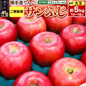 yӂ邳Ɣ[Łzystz12{蔭 scY Tӂyʁzƒp 5kg