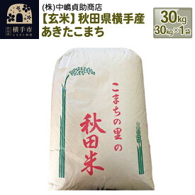 【ふるさと納税】【令和7年産】【玄米】秋田県横手産あきたこまち 30kg(30kg×1袋)