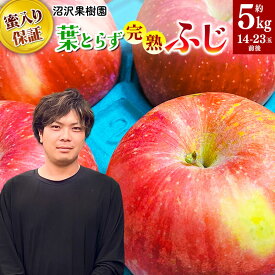 【ふるさと納税】【先行受付】11月下旬より発送 《蜜ライトで蜜入り保証！》葉とらず完熟ふじ 約5kg りんご [先行予約 秋田県 横手市 林檎 リンゴ 果物 フルーツ ふじ フジ 【りんご】特集]