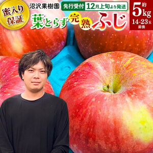 yӂ邳Ɣ[Łzystz12{蔭 sCgŖۏ؁IttƂ炸nӂ 5kg 