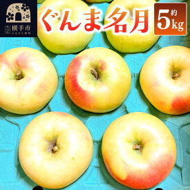 【ふるさと納税】【先行受付】11月上旬より発送 ぐんま名月 ご家庭用 約5kg りんご リンゴ 林檎 [先行予約 りんご 林檎 リンゴ 群馬名月 果物 フルーツ 横手産 秋田産 秋田県産]