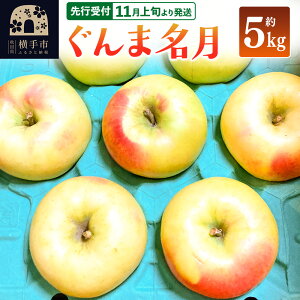 yӂ邳Ɣ[Łzystz11{蔭 ܖ 5kg  S ь