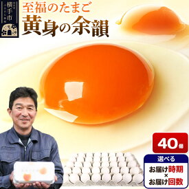【ふるさと納税】【常温発送】黄身の余韻 40個（業務用）【選べる開始時期×お届け回数（定期便）】東海林養鶏場 黄身の余韻 卵 玉子 たまご タマゴ 配送時期選べる お届け回数選べる 定期便 [東海林養鶏場 黄身の余韻 卵 玉子 たまご タマゴ]