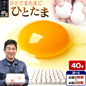 【ふるさと納税】【常温発送】ひとたま 40個（業務用）【選べる開始時期×お届け回数（定期便）】東海林養鶏場 ひとたま 卵 玉子 たまご タマゴ 配送時期選べる お届け回数選べる 定期便