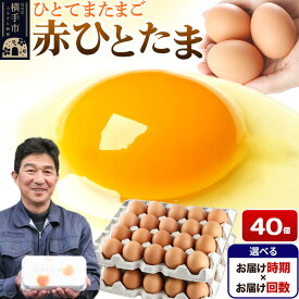 【ふるさと納税】【常温発送】赤ひとたま 40個（業務用）【選べる開始時期×お届け回数（定期便）】東海林養鶏場 赤ひとたま 卵 玉子 たまご タマゴ 配送時期選べる お届け回数選べる 定期便