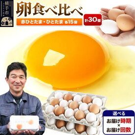 【ふるさと納税】【常温発送】赤ひとたま 15個・ひとたま 15個 計30個（業務用）【選べる開始時期×お届け回数（定期便）】東海林養鶏場 赤ひとたま ひとたま 卵 玉子 たまご タマゴ 配送時期選べる お届け回数選べる 定期便