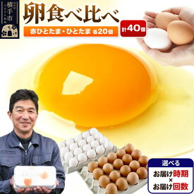 【ふるさと納税】【常温発送】赤ひとたま 20個・ひとたま 20個 計40個（業務用）【選べる開始時期×お届け回数（定期便）】東海林養鶏場 赤ひとたま ひとたま 卵 玉子 たまご タマゴ 配送時期選べる お届け回数選べる 定期便