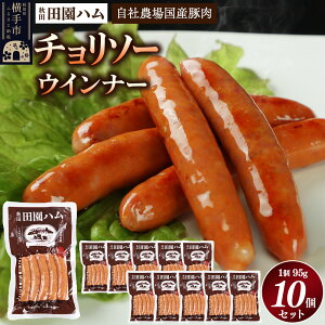yӂ邳Ɣ[Łzcn `\[ 95g×10Zbg