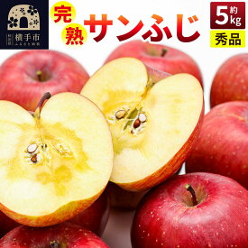 【ふるさと納税】【先行受付】11月下旬より発送 サンふじ秀品 約5kg（16〜20個入）りんご [先行予約 秋田県 横手市 林檎 リンゴ 果物 フルーツ 減農薬栽培 有機質栽培 無袋栽培 サンふじ さんふじ サンフジ 【りんご】特集]
