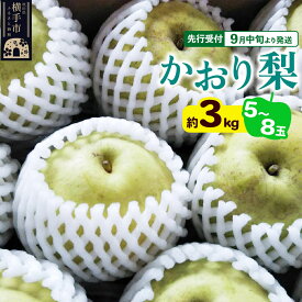 【ふるさと納税】【先行受付】9月中旬より発送 かおり約3kg（5〜8玉）かおり梨 大玉品種 青梨 和梨 秋田県横手市 [先行予約 秋田県 横手市 ナシ なし 果物 フルーツ]