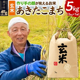【ふるさと納税】《令和8年産 新米受付》忠さん農園 作り手の顔が見えるお米 秋田県横手市産 あきたこまち 玄米 5kg [新米 先行予約 お米 米 ごはん ご飯]