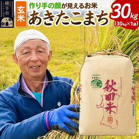 【ふるさと納税】《令和7年産》忠さん農園 作り手の顔が見えるお米 秋田県横手市産 あきたこまち 玄米 30kg