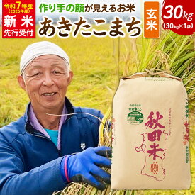 【ふるさと納税】《令和7年産 新米受付》忠さん農園 作り手の顔が見えるお米 秋田県横手市産 あきたこまち 玄米 30kg