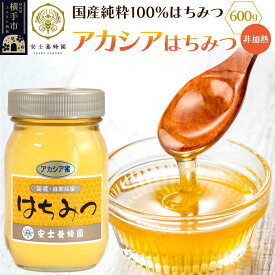 【ふるさと納税】アカシアはちみつ（非加熱）600g