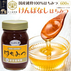 【ふるさと納税】けんぽなしはちみつ 600g