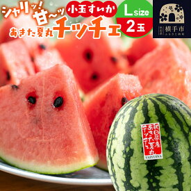 【ふるさと納税】小玉すいか『あきた夏丸チッチェ』秋田県産 約2.1kg〜2.7kg×2玉 [すいか スイカ 西瓜 小玉すいか 小玉スイカ 甘い あきた 秋田 オリジナル品種 夏果物 夏フルーツ あきた夏丸 チッチェ ちっちぇ]