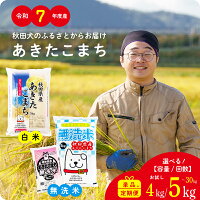 【ふるさと納税】令和7年産 秋田県産 あきたこまち 無洗米 白米 米 定期...