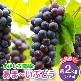【ふるさと納税】【先行予約】【数量・期間限定】50P3422 田舎の完熟 ぶどう2kg前後