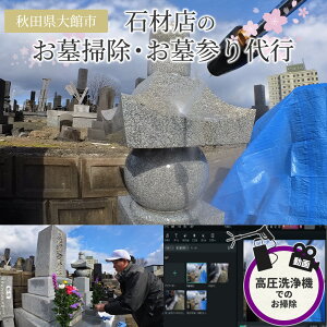 yӂ邳Ɣ[Łẑ|AQsi@gpAtj@y440P8401z  | s Q nӐ΍ޓX Hc َs 