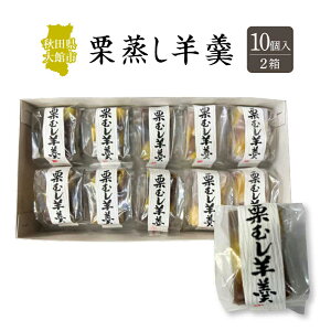 yӂ邳Ɣ[ŁzyeʂIׂIzIr㻁@8`20 y30P5613_60P5616_40P5619_75P5605z aَq 悤 Yi i Mtg v[g  O XC[c Hc  A