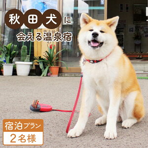 yӂ邳Ɣ[ŁzyhvzHcAAGߋyVƒnv 12i2l1jh `Pbg ̌ Hc  y 肽 n ݔ v LO IWi T