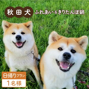 yӂ邳Ɣ[ŁzyAvzHcӂꂠ̌Ƃ肽ےH 1l H ւ ` `Pbg Hc ӂꂠ ̌  񂹂 肽 H  n` n`RE v