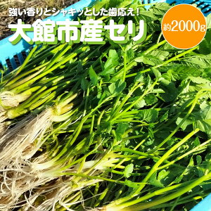 yӂ邳Ɣ[ŁzyIׂeʁIzZ ƃVLbƂ 200g~2000g y60P3217E120P3201E180P3202E300P3201E600P3201z