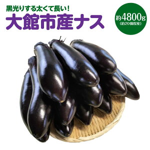 yӂ邳Ɣ[ŁzyIׂeʁIz肷鑾ĒiXI 2400g or 4800g y40P3218E80P3204z