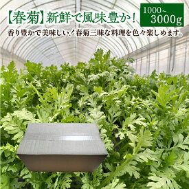 【ふるさと納税】【選べる内容量！】春菊 新鮮で風味豊か！ 約1000g～3000g 【45P3207・90P3203・135P3203】