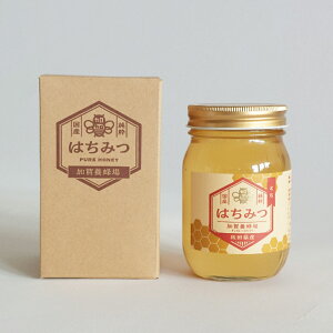 yӂ邳Ɣ[Łz50P5405 ȖI 500g