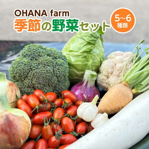 yӂ邳Ɣ[ŁzG߂̖؃Zbg 5`6ށ@y70P3207z ₳ _Ew엿sgp  k Hc  OHANA farm