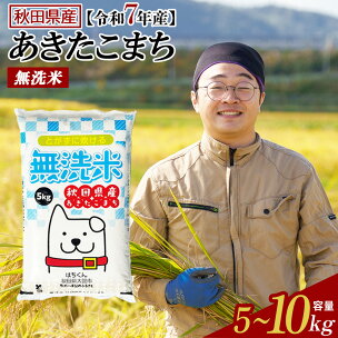 【令和7年産】【選べる容量・お届け回数】秋田県産「あきたこ...