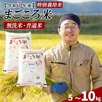 【ふるさと納税】期間限定！【訳あり】【令和7年産】【選べる容量】秋田県特別...