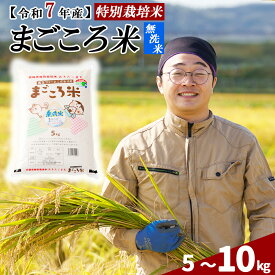 【ふるさと納税】【令和7年産】【選べる容量】秋田県特別栽培米あきたこまち「まごころ米（無洗米）」 5〜10kg 【2025年産 白米 無洗米 東北産 粘り 弾力性 節約 手間なし 国産 旨み 香り 栄養 のし対応可能 お弁当 真正ファーム 秋田県 大館市】75P9205・150P9203