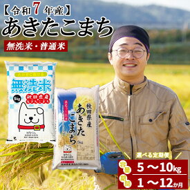 【ふるさと納税】【令和7年産】【選べる容量・お届け回数】秋田県産「あきたこまち」無洗米or普通米 5〜10kg 1~12回 【2025年産 白米 精米 東北産 粘り 弾力性 節約 手間なし 国産 旨み 香り 栄養 のし対応可能 おにぎり お弁当 真正ファーム 送料無料】