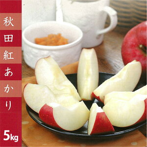 yӂ邳Ɣ[ŁzyʌEԌzzCȕꂳ@Hc񂲁uHcgv@5kg@y105P3401z S ь l Zbg G ʌ َs Hc zCȕ̂X 