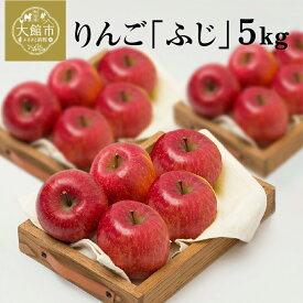 【ふるさと納税】【数量限定・期間限定】陽気な母さんの【訳あり】りんご「ふじ」　5kg　【60P3404】 リンゴ 林檎 訳アリ 訳あり商品 詰合せ セット 季節 数量限定 大館市 秋田県 陽気な母さんの店 送料無料 ギフト フルーツ 果物 ふじ