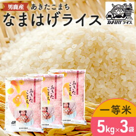 【ふるさと納税】【あきたこまち】なまはげライス5kg×3　【お米・精米・あきたこまち・計15kg・米】