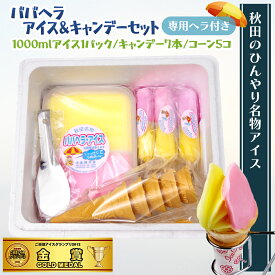 【ふるさと納税】ババヘラアイスキャンデーセット　【お菓子・アイス】